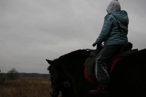 Фото кони и малыши