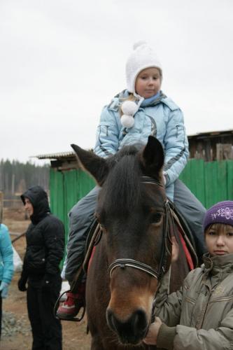 Фото кони и малыши