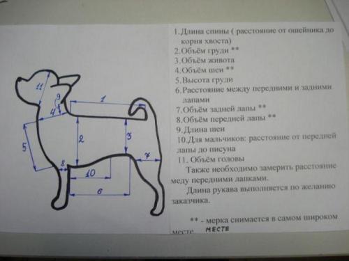 Купить chi chi love собачки по лучшей цене - интернет магазин ТвоеДетство